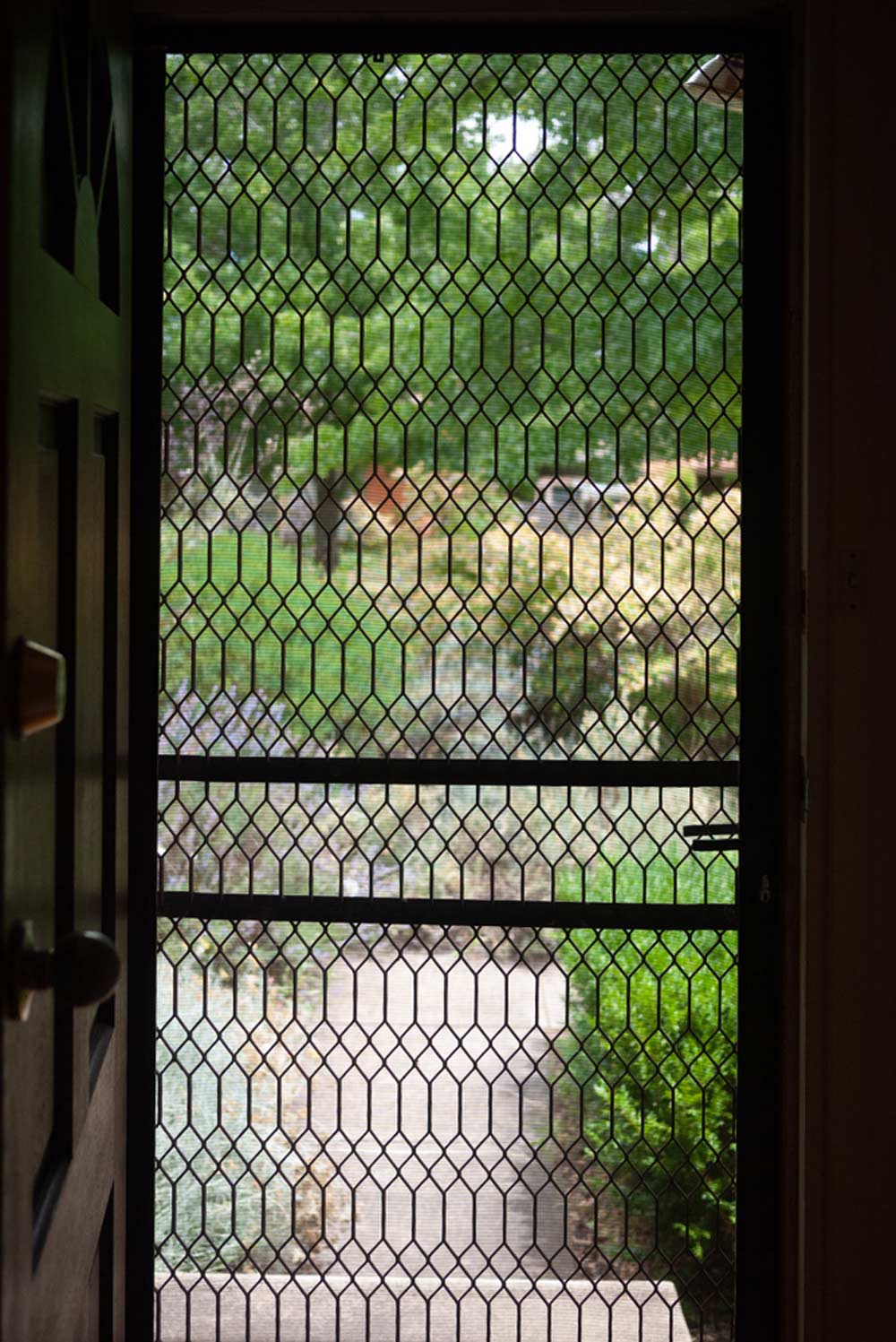 A Newly Clean Security Screen Door